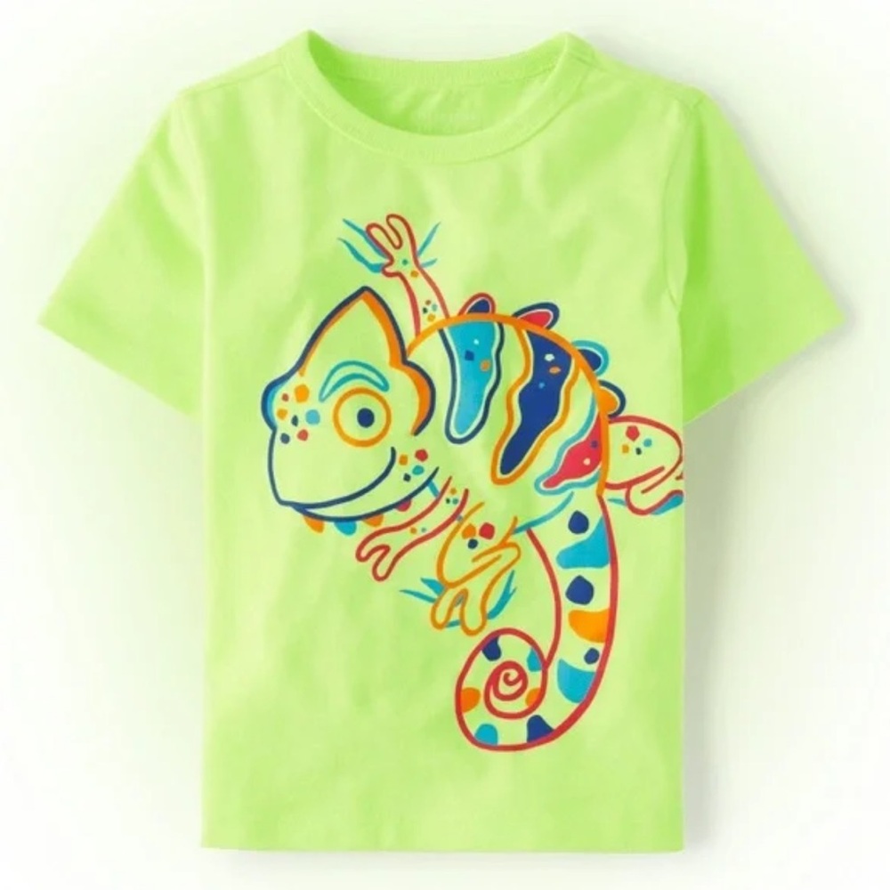 Colorful Chameleon Graphic Tee 2T